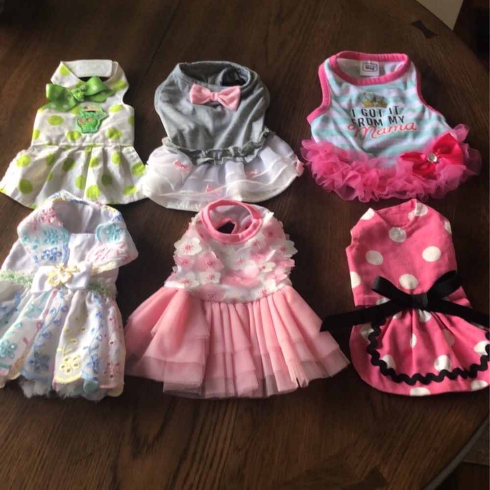 Lot of Six (6) Spring dresses / shirts / clothes for small dog breed.